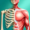 Discover Human Body - Anatomy and Physiology