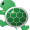 Sea Turtle Batch Image Processor