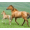 Horses Windows 7 Theme